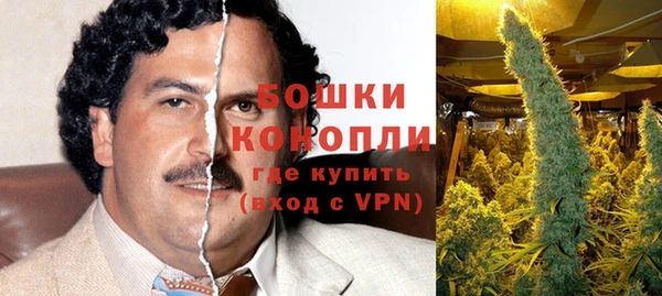 ГАЛЛЮЦИНОГЕННЫЕ ГРИБЫ Абинск