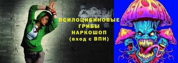 ГАЛЛЮЦИНОГЕННЫЕ ГРИБЫ Абинск