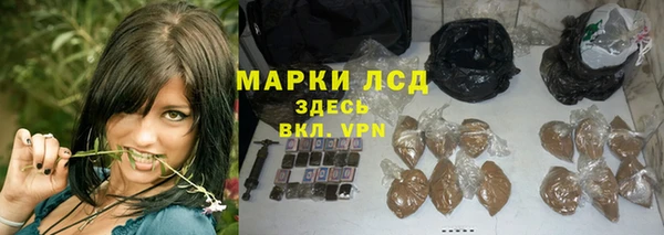 гидра Майский