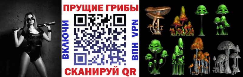 Галлюциногенные грибы MAGIC MUSHROOMS  Холм 